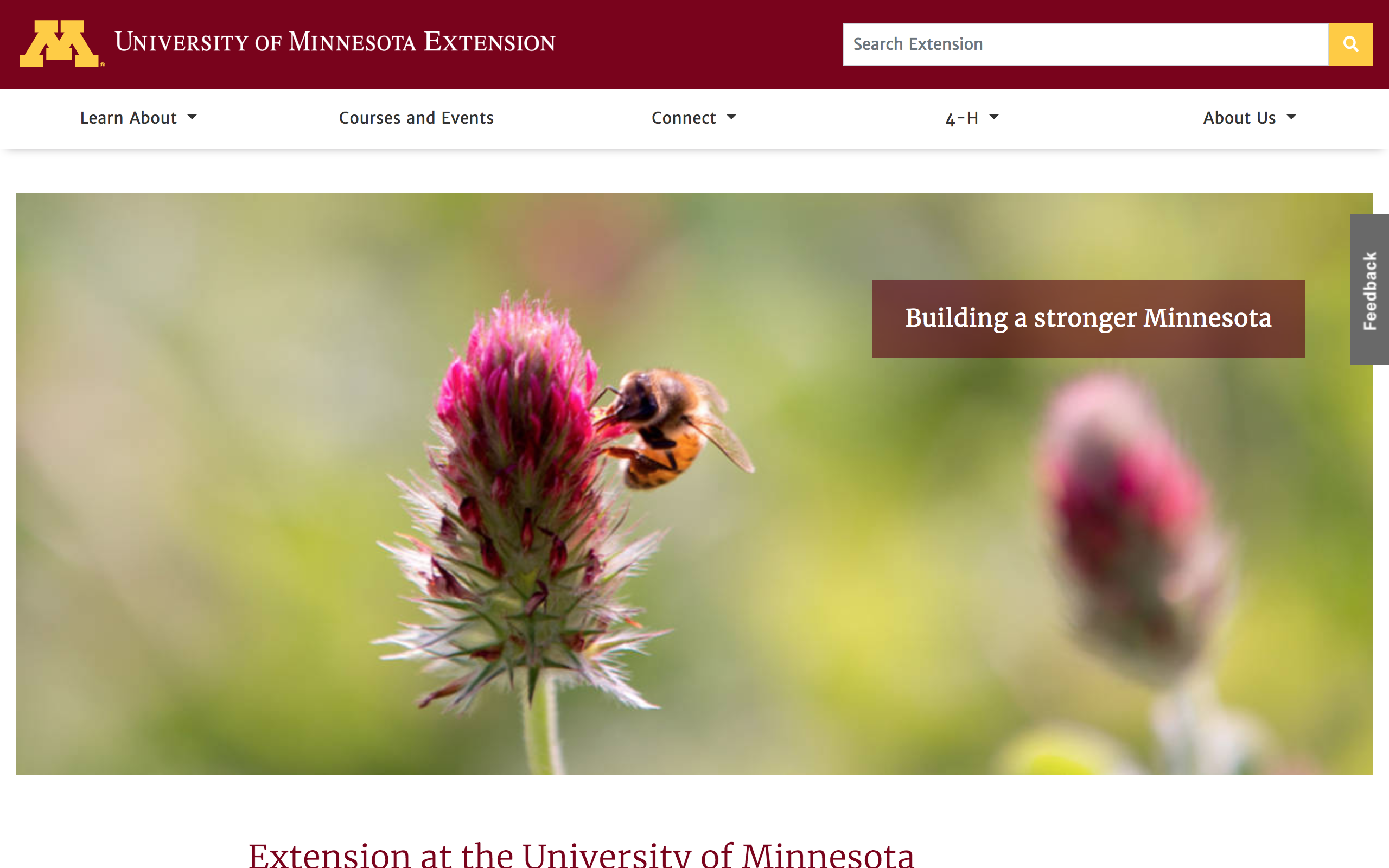 UMN Extension Website